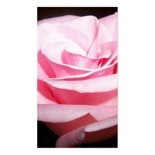Pink Rose-custom color Business Card Template (back side)