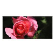 Pink Rose Customized Rack Card