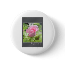 Pink Rose: Faith buttons
