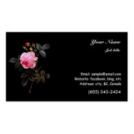 pink rose flower and buds business card templates