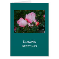 pink rose flower greeting cards