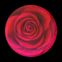 Pink Rose Flower Painting Art - Multi magnets by JUDERM Pink Rose Flower Painting Art - Multi magnets