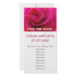 Pink Rose Flower Spiral Save the Date! Cards Picture Card