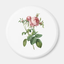 Pink Rose Fridge Magnets