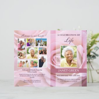 Pink Rose Funeral Program Template Zazzle