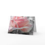 Pink Rose Gray