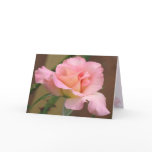 Pink Rose Greeting Card