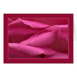 Pink rose greeting card