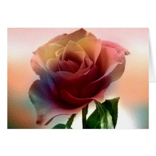 PINK ROSE GREETING CARD