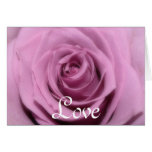Pink Rose Greeting Card
