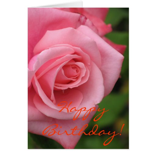 pink rose birthday card