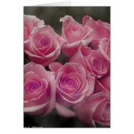Pink rose group bunch photograph design card