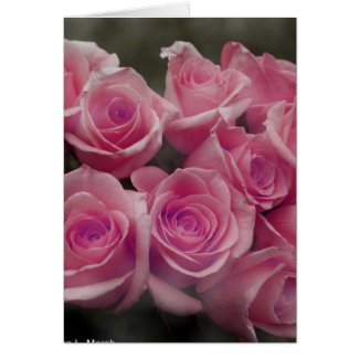 Pink rose group bunch photograph design card