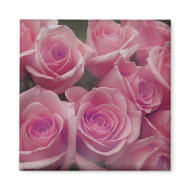 Pink rose group bunch photograph design magnet