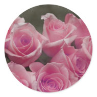 Pink rose group bunch photograph design sticker