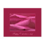 Pink rose - Happy Valentine's day Post Card