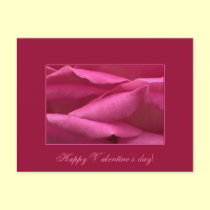 Pink rose - Happy Valentine's day postcards
