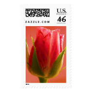 Pink Rose I Postage - Customizable stamp