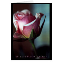 Pink Rose II cards