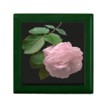 Pink Rose in Full Bloom gift boxes