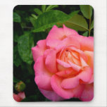 Pink Rose in Rain Mousepad