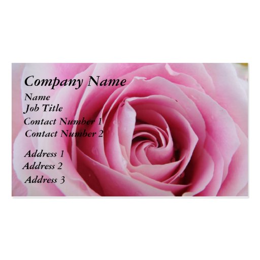 Pink Rose In The Rain Business Cards (front side)