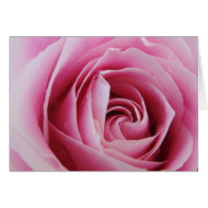Pink Rose In The Rain card