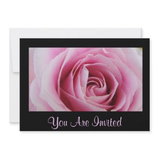 Pink Rose In The Rain Party Invitations invitation