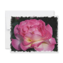 Pink Rose invitations
