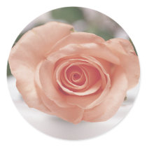 Pink Rose invitation stickers by photoinspiration Pink Rose invitation stickers