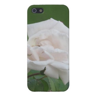 Pink Rose Iphone5 Case iPhone 5 Case