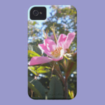Pink Rose iPhone 4 case casemate cases
