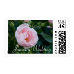 Pink Rose | January Wedding Stamp