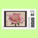 Pink Rose Lace Stamp