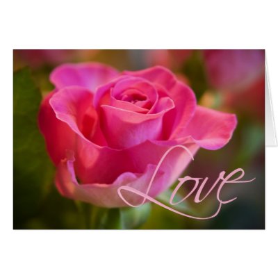 Pink Rose • Love Card by SabineStGreetings