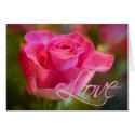 Pink Rose • Love Card by SabineStGreetings Pink Rose • Love Card