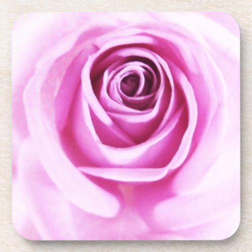 Pink Rose Love Flower Set of 6 corkcoaster
