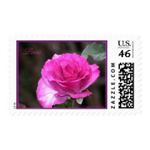 Pink Rose Love Postage stamps