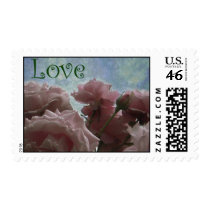 pink rose - Love stamps