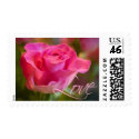 Pink Rose • Love Stamp