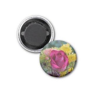 Pink Rose Magnet magnet