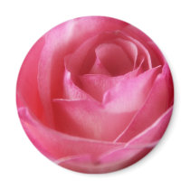Pink Rose Magnet