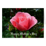 pink rose mother's day card cards