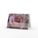Pink Rose • Mother's Day Greeting Card
