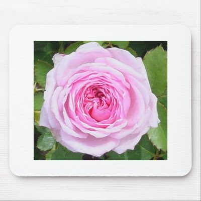 Pink Rose Mouse Pad Mousepad by Flowerboutique