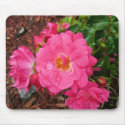 Pink Rose Mousepad by bkang22 Pink Rose Mousepad