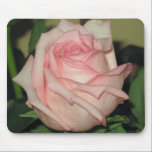 Pink Rose mousepads