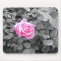 Pink Rose mousepads