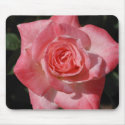 Pink Rose Mousepad