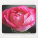 Pink Rose mousepads by cwwphotography Pink Rose mousepads